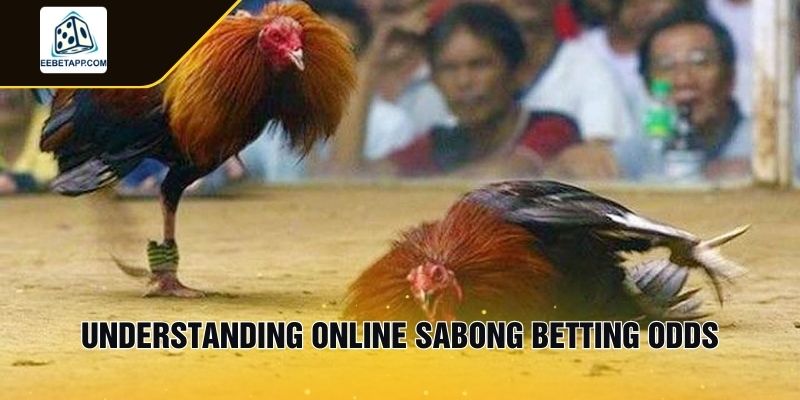 Understanding Online Sabong Betting Odds